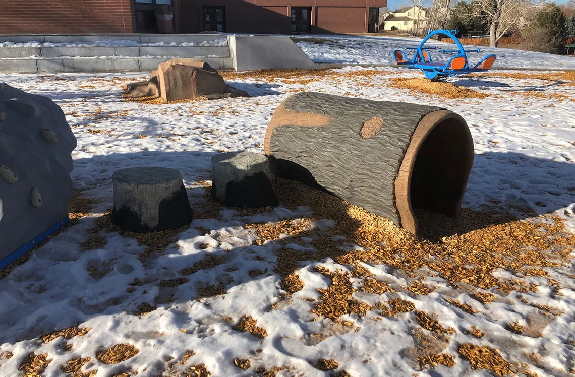 Nature inspired stepping and crawling equipment for playground at Coronado Elementary school